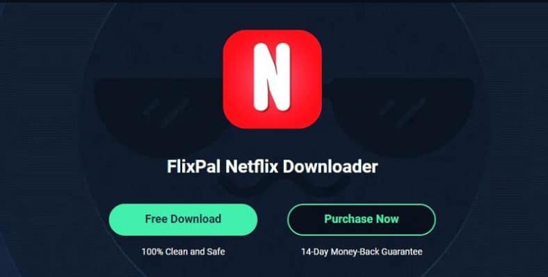 FlixPal Netflix Video Downloader | Download The Woman in the House